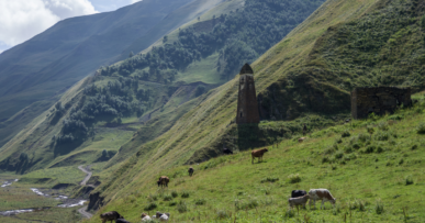 Tour de pierre médiévale dans les montagnes vertes de Tchétchénie dans le Caucase du Nord