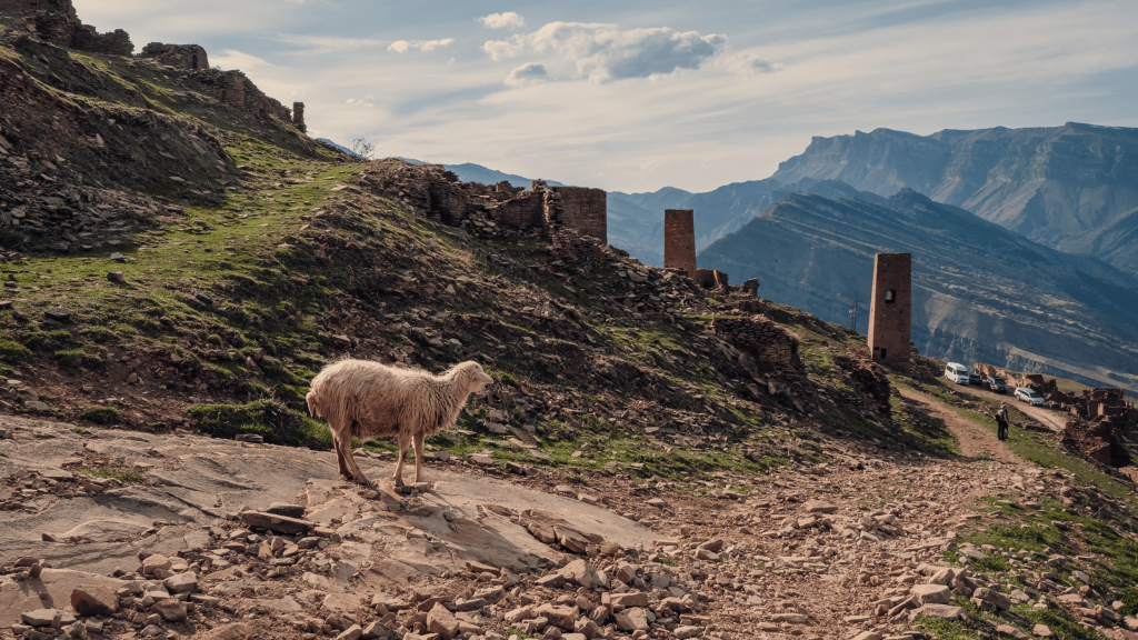 dagestan stone tower goor village