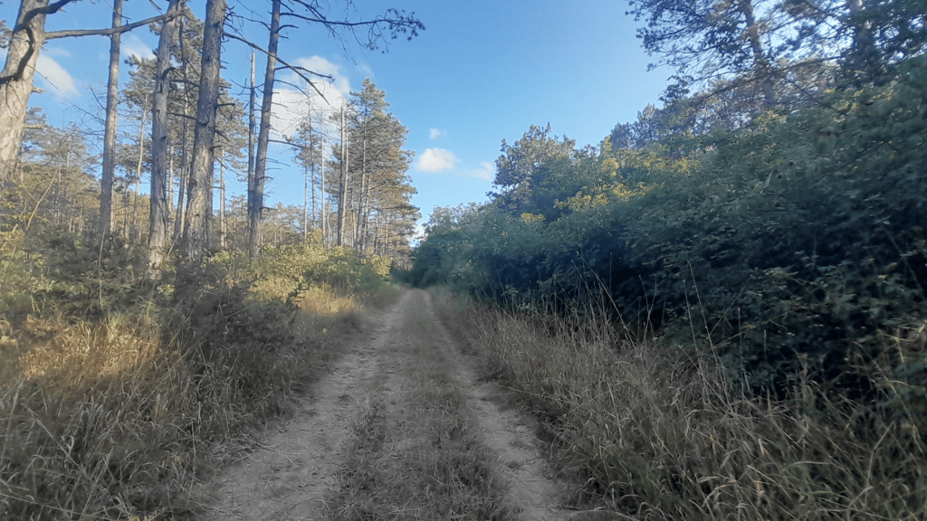 great sevastopol trail 1st and 2nd sections 4 2