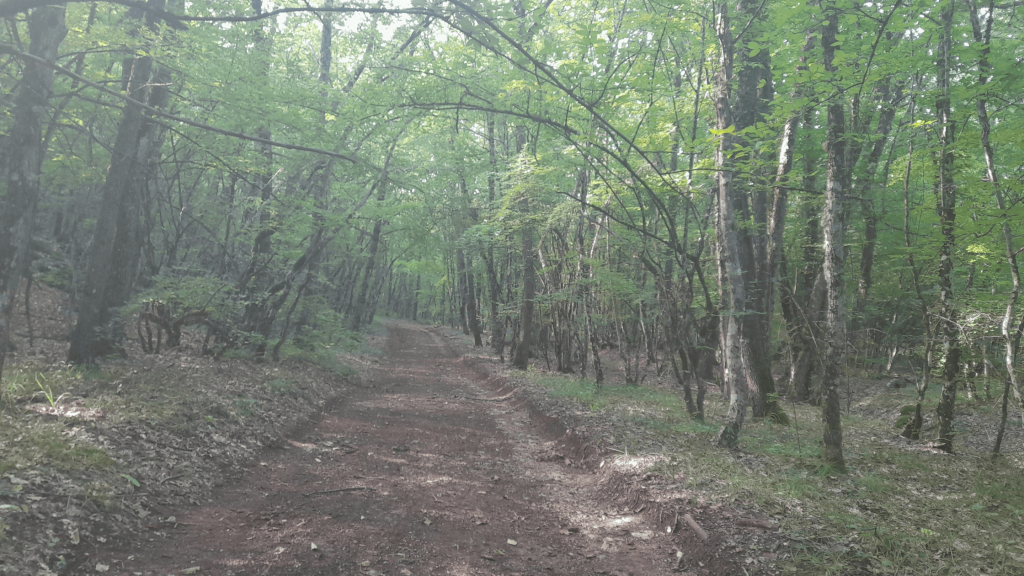 great sevastopol trail 4th section 4 2