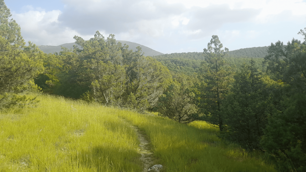 great sevastopol trail 5th section 7 2