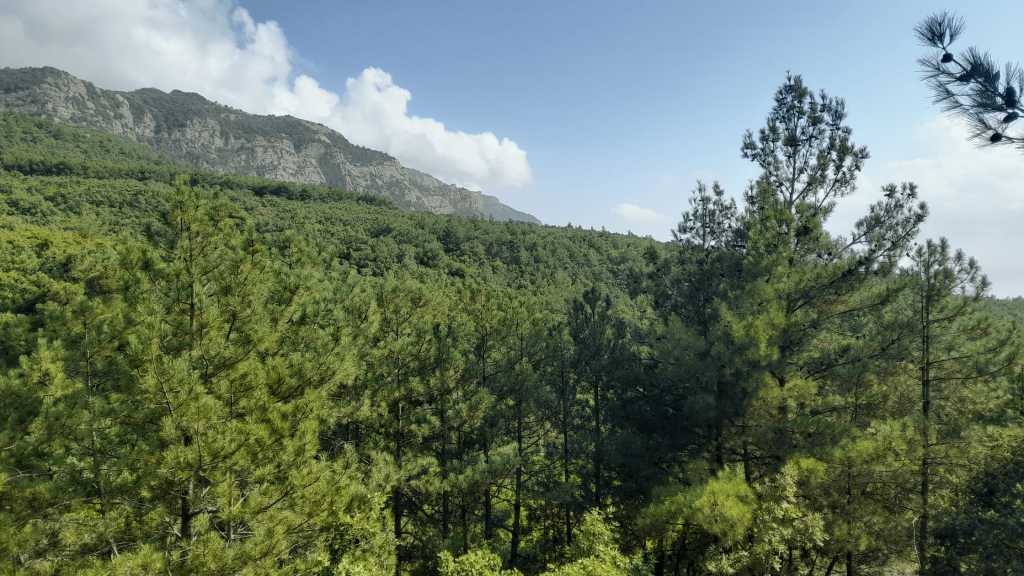 great sevastopol trail 8th section 3 2