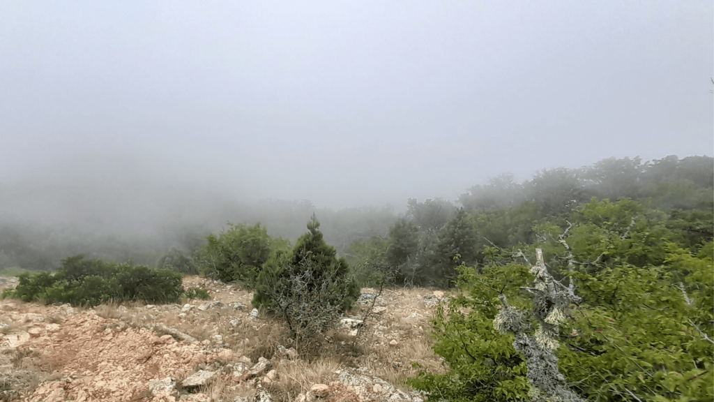 great sevastopol trail 8th section 8