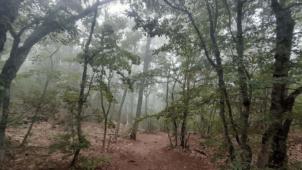 great sevastopol trail 8th section 9