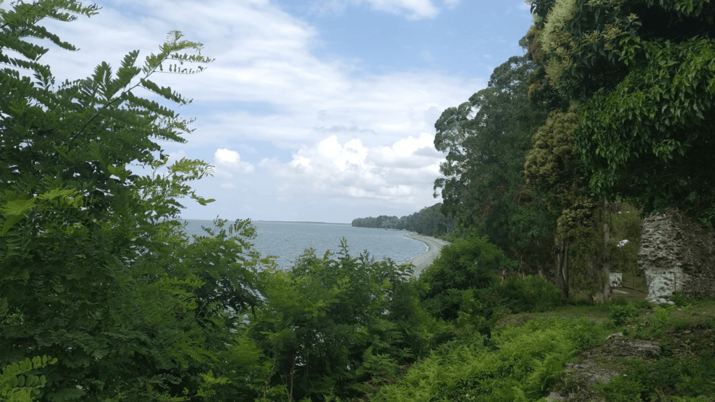 Panoramic view of the Black Sea from the lush greenery of Pitsunda, Abkhazia, with a pebble beach stretching into the distance.