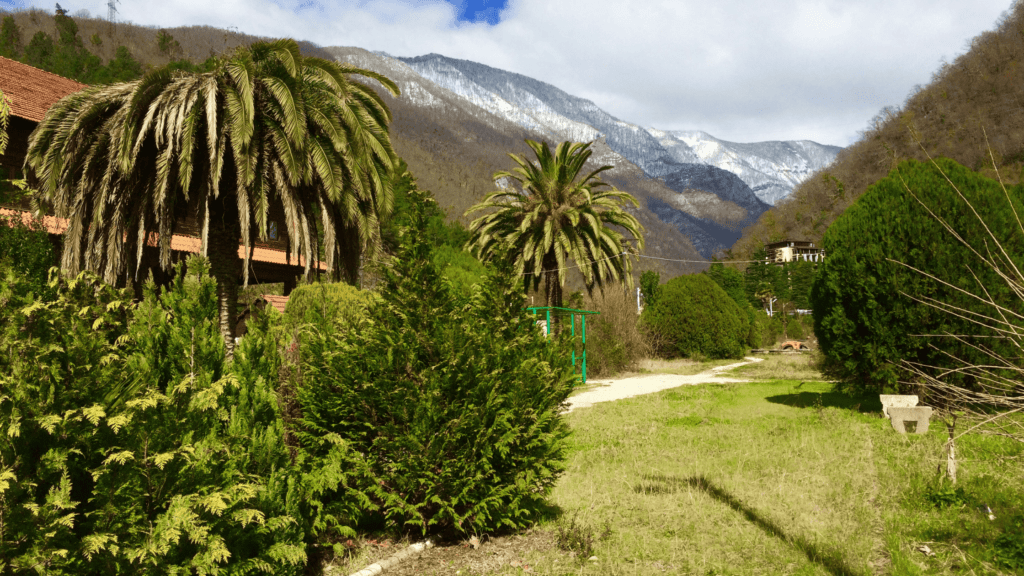 Picturesque view of Gagra in Abkhazia, featuring lush palm trees and snow-capped mountains in the background.