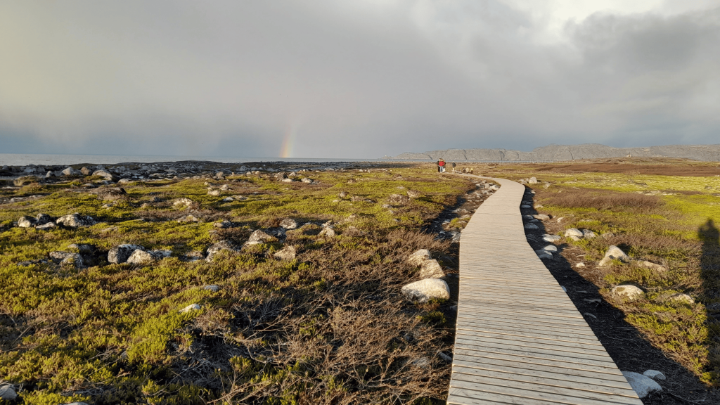 Sentier en bois à Teriberka avec arc-en-ciel au-dessus du paysage arctique