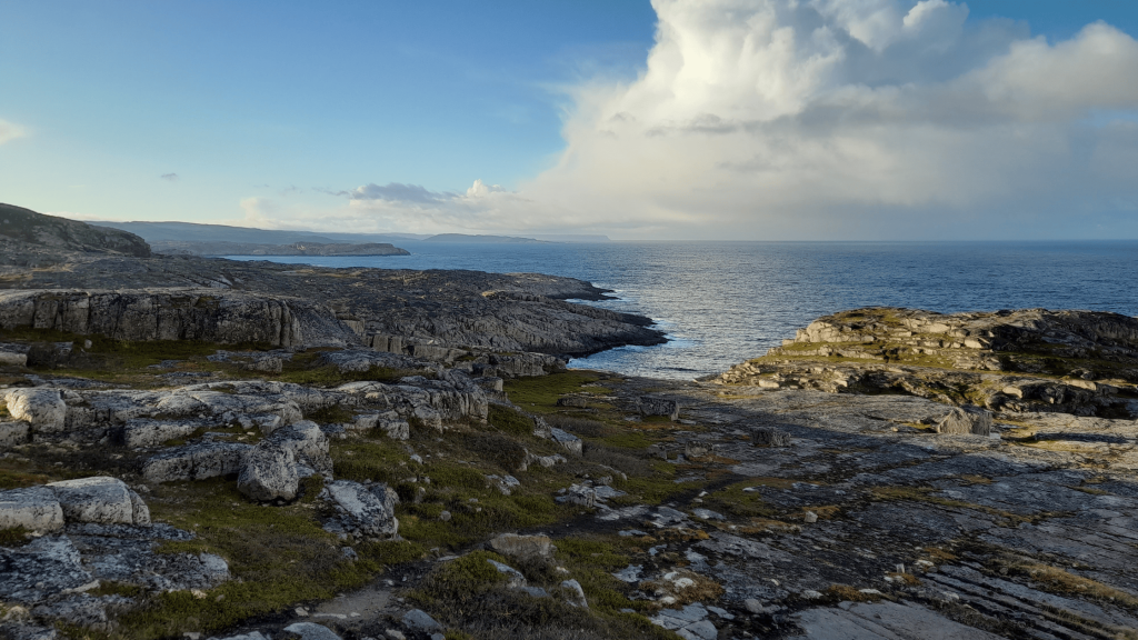 Côte rocheuse de la mer de Barents près de Teriberka en Russie